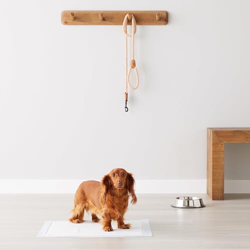 Amazon Basics - Tapete entrenador para perros, 5 capas a prueba de fugas y secado rápido, regular, 50 unidades